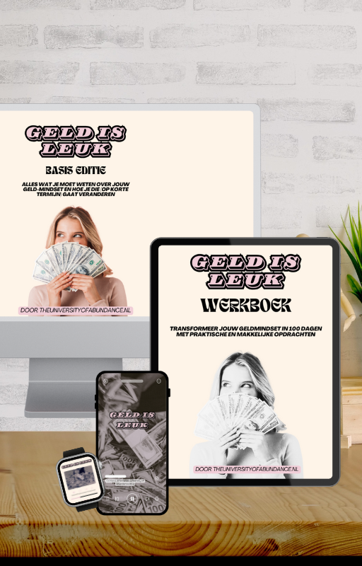 ALLES WAT JE NODIG HEBT-Geldmindset Bundel inclusief BONUS Quick Fix MP3